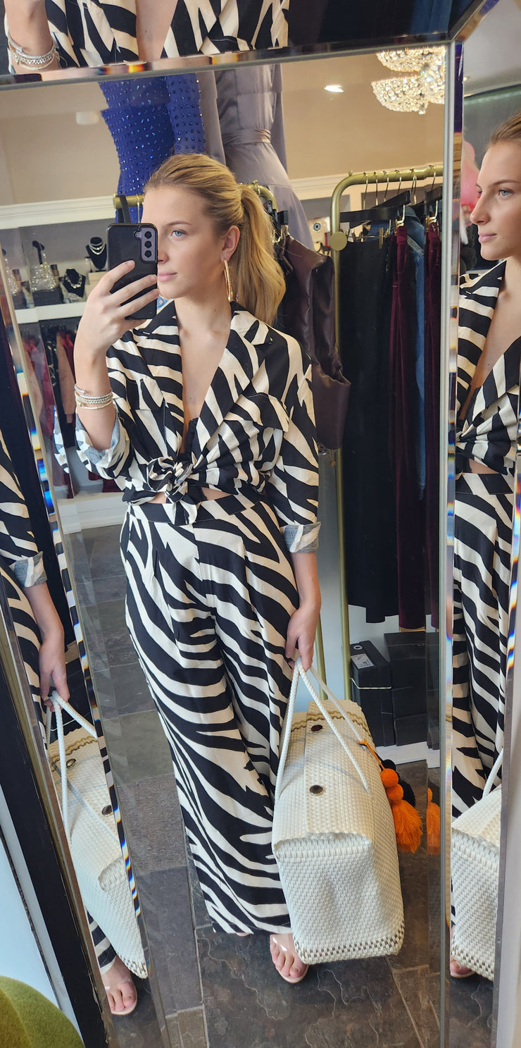 Nydia Zebra Pant Set